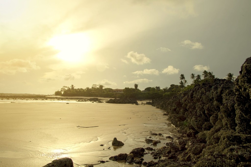 Búfalo e morador na água, Ilha de Marajó